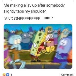 Meet your Posher, Bella